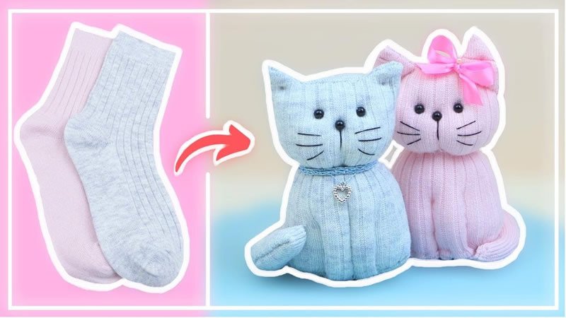 Gatitos con calcetines